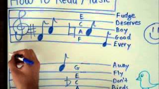 How to Read Music  Basics for Beginners  Music Theory Lesson [upl. by Sandye884]