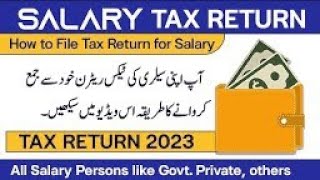 part 3 wealth statement  income tax return filing 202324  reconciliation of net asset incometax [upl. by Nelyag]