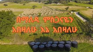 Hana Tekle bemaleda misganayen Protestant song lyrics 2024 ሀና ተክሌ በማለዳዬን መዝሙር [upl. by Davies474]