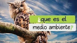 ¿qué es el medioambiente o medio ambiente ☞ EcoSaberes [upl. by Azilanna528]