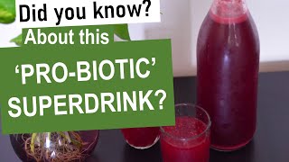 Indian PROBIOTIC For Gut Health  Probiotic Kanji Recipe  Indian Probiotic drink [upl. by Rolandson]