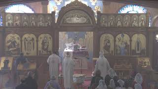 Holy Liturgy  Nov 15 2024 [upl. by Fiertz]