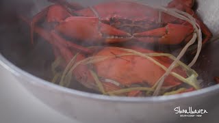 Crab Sandwich Recipe with Rick Stein  Our South Coast  Shoalhaven [upl. by Morette]