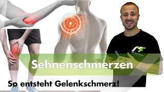 Sehnenschmerzen  Das solltest du über Schmerzen wissen [upl. by Auhsot119]