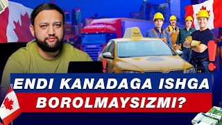 ENDI KANADAGA ISHGA BOROLMAYSIZMI [upl. by Codding]