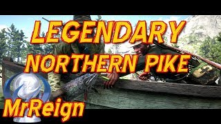 Red Dead Redemption 2  Hunting The Legendary Northern Pike  Quest Playthrough [upl. by Yemirej297]