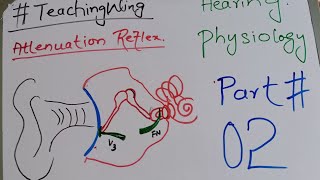 Ear  Hearing Physiology  Attenuation Reflex Part 02 [upl. by Eelirrem538]