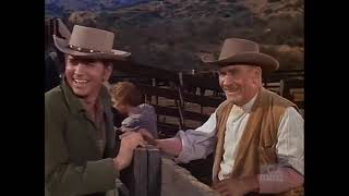 Bonanza  The Hayburner  Western TV Series  Cowboys  Full Episode  English [upl. by Durning]