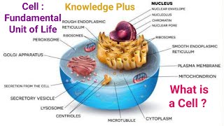 CellFundamental Unit of Life I What is a Cell I Cell Structure and its Function I Cell Membrane [upl. by Aral424]