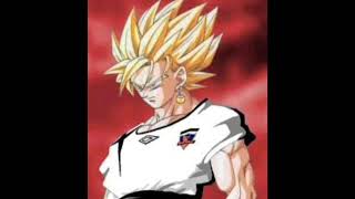 PRUEBAS DE QUE GOKU ES DEL COLO COLO [upl. by Zakaria]