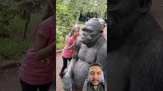 Gorilla 🦍 ears 👂 spiderman and cockroach 🪳 animals monkey gorilla zoo kgfchapter2 shorts [upl. by Xet]