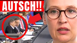 HABECK RASTET AUS 💥 AFD LÄSST SICHERUNG DURCHBRENNEN 💥 RIESEN AFD EKLAT GEHT GERADE VIRAL [upl. by Mendie]