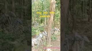 Magtu baba mandir Kamkapar Dondi LoharaJila Balod shortsvideo ytshorts like RinkuSamrathVlogs [upl. by Quintus]