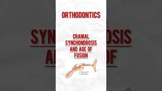 Synchondrosis orthodontist cranial [upl. by Eirojram578]