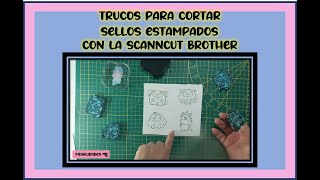 Cómo Cortar Sellos Estampados Fácilmente con ScanNCut Brother SUB  DEENFRITPOR ✨ [upl. by Marv]