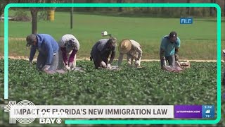 How Floridas new antiillegal immigration bill impacts states workforce [upl. by Roxi671]