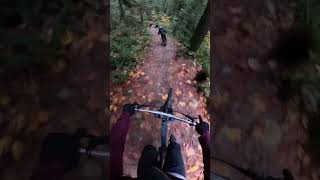 GoPro 13 with max lens mtb actioncamera chillride [upl. by Goddart498]