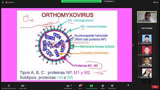 VIRUS DE LA INFLUENZA Y PARAINFLUENZA [upl. by Zinn]