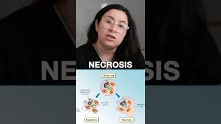 APOPTOSIS vs NECROSIS ubaxxi uba biologia cbc ubaxxi [upl. by Cleo]