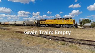 Empty Grain Train At LaCoste [upl. by Griffy821]