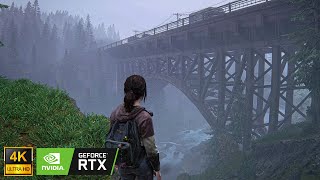 The Last of Us Part 3  Ellies Walking Tour  Ultra Realistic Graphics  Ray Tracing  No HUD [upl. by Ailla]