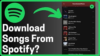 How To Download Songs From Spotify  Full Guide [upl. by Gurney]