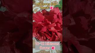 Hibiscus hair mask for strong amp shiny hair youtubeshorts hair video [upl. by Allix]