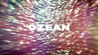 OTTO NORMAL  Ozean Official Video [upl. by Christa]