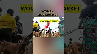 NIGERIA DOG MARKET [upl. by Laenej816]