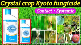 kyoto fungicideCrystalAzoxystrobin11Tebuconazole183SCkyoto fungicide price dose work result [upl. by Elyrpa575]