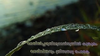 vathilpazhuthilooden Munnil  Lyrical Video  Remya [upl. by Emya]