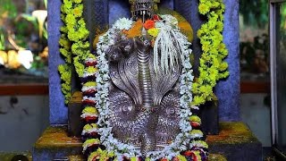 Abhishekam day 11 [upl. by Tandi]