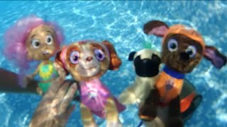 Patrulla canina en español salva a un cachorro sirena en la piscinaCap 11 Paw Patrol en Español [upl. by Delisle449]