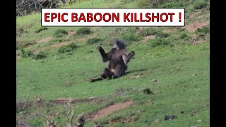 Epic Baboon Hunting [upl. by Haniraz]