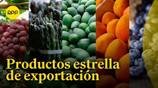 Exportaciones peruanas y sus mercados potenciales [upl. by Sharline]