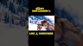 बुद्धिमान dog leader 🐕‍🦺 movie film shortsfeed shorts [upl. by Aurelia685]