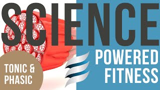 SciencePowered Fitness Lets talk about tonic and phasic muscles [upl. by Ainsworth]