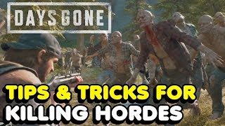 Days Gone  How To Kill Hordes Tips amp Tricks [upl. by Mcnully]