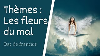 Les grands thèmes des Fleurs du mal de Baudelaire [upl. by Eerdua]