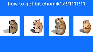 how 2 get every bit chomik1111  Roblox Find the Chomiks READ DESC [upl. by Salas]