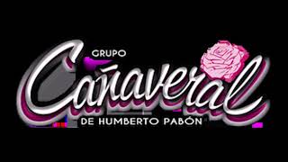 Tiene Espinas el Rosal 🌹 Grupo Cañaveral [upl. by Sheeb]