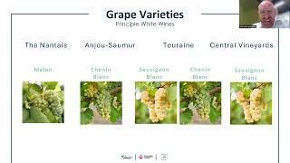 May Wine Month 2024  Loire Valley Week  An Introduction to The Loire Valley [upl. by Fennelly]