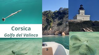 Corsica Golfo del Valinco [upl. by Heller]