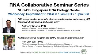 RNA Collaborative – NUSCSI Singapore September 27 2023 [upl. by Falkner]