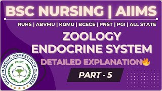 Endocrine System 📓 Part 5  pancrease  BSC Nursing 2024 bscnursing2024 [upl. by Gus]