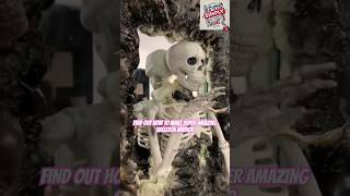 DIY Skeleton Mirror Transform Your Decor for Halloween [upl. by Astrix]