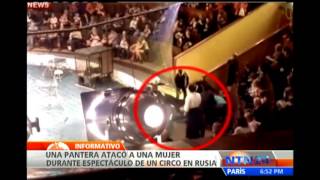 Pantera ataca a mujer durante espectáculo en circo de Rusia [upl. by Kafka]