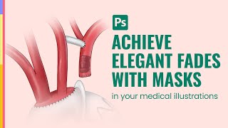 Medical illustration Photoshop tutorial Elegant fades with layer masks [upl. by Ylrahc]