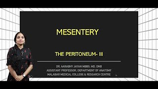 Mesentery [upl. by Aihsas]