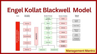 Engel Kollat Blackwell Model  Meaning  Consumer Behavior Models  Consumer Behaviour [upl. by Telrahc395]